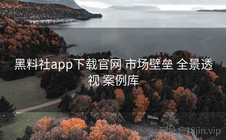 黑料社app下载官网 市场壁垒 全景透视 案例库 第2张 黑料社app下载官网 市场壁垒 全景透视 案例库 第2张