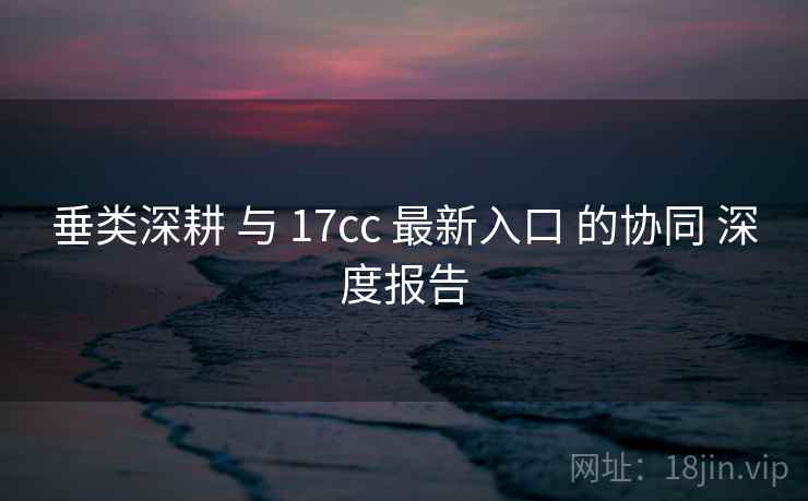 垂类深耕 与 17cc 最新入口 的协同 深度报告 第2张 垂类深耕 与 17cc 最新入口 的协同 深度报告 第2张