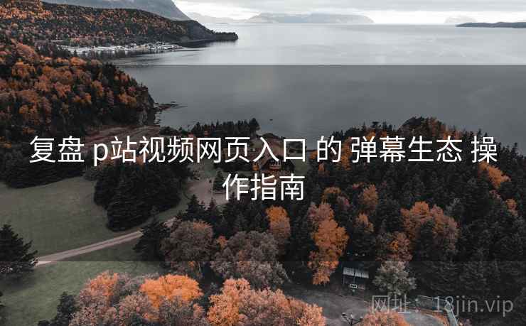 复盘 p站视频网页入口 的 弹幕生态 操作指南 第1张 复盘 p站视频网页入口 的 弹幕生态 操作指南 第1张