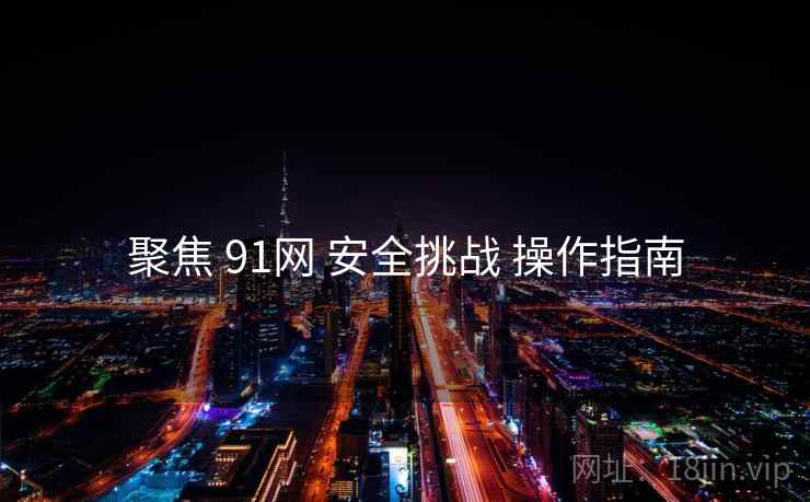 聚焦 91网 安全挑战 操作指南  第2张